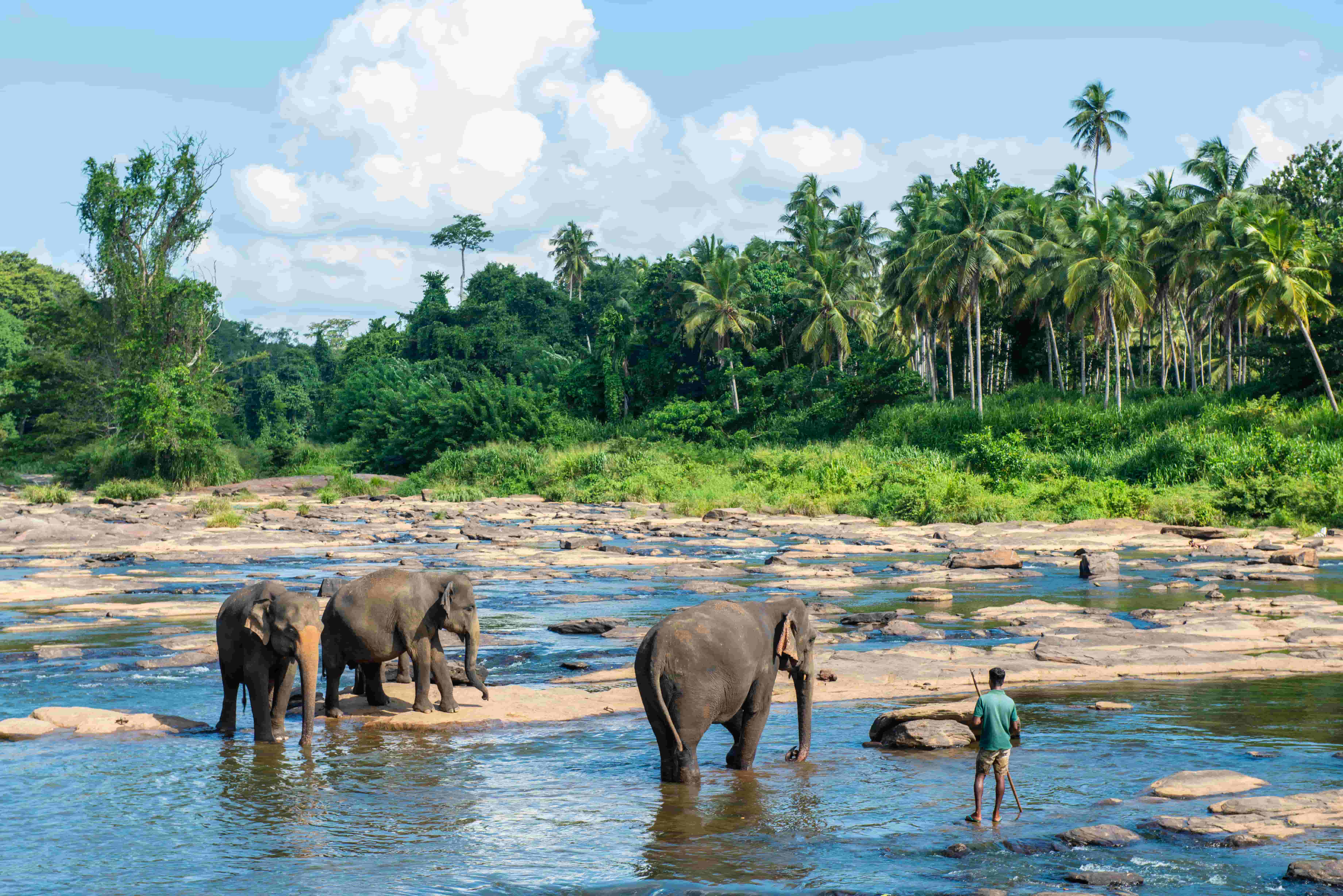 Wild & Scenic Island Adventure